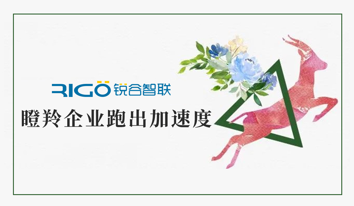 火炬高新區助力“瞪羚”企業跑出加速度，超半數分布廈門軟件園